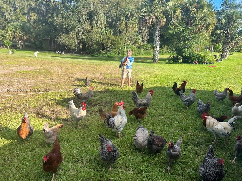 Ver detalles   /   sq. ft. $ 2025-10-24 0 foto