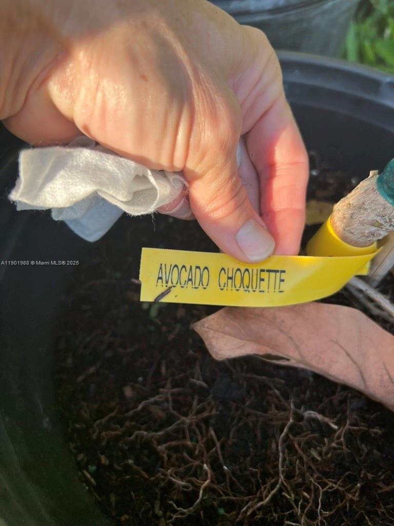 Ver detalles   /   sq. ft. $ 2025-10-24 0 foto