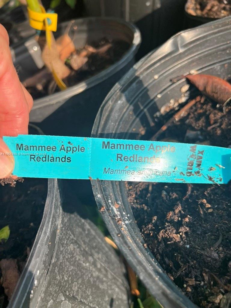 Ver detalles   /   sq. ft. $ 2025-10-24 0 foto