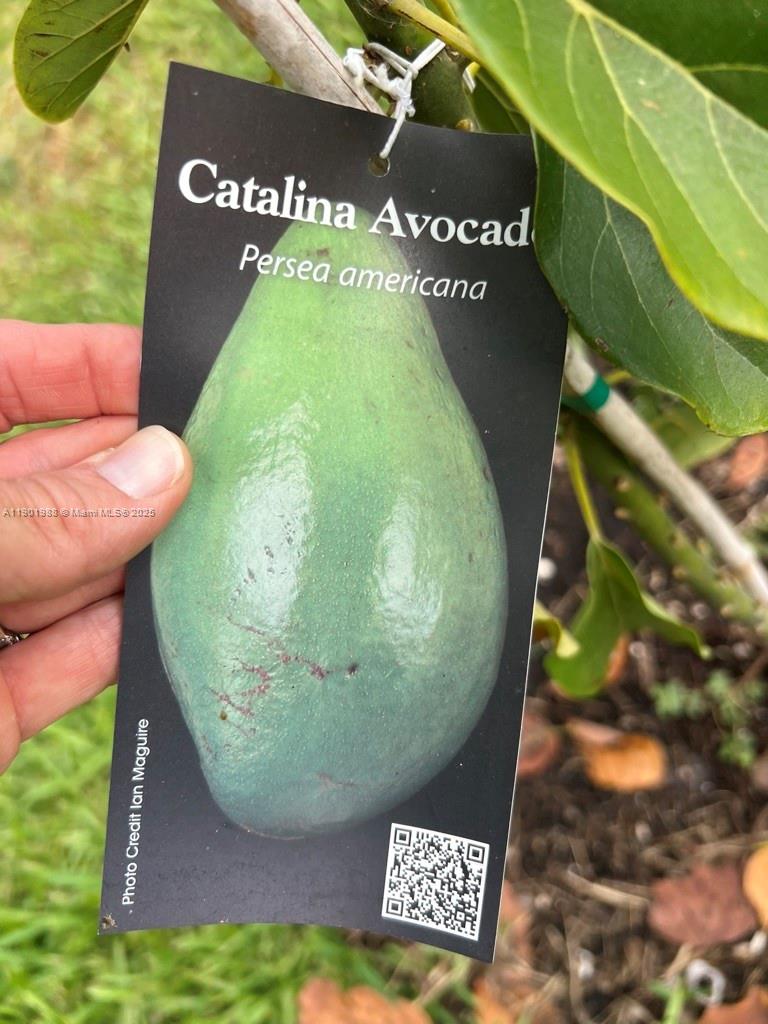 Ver detalles   /   sq. ft. $ 2025-10-24 0 foto