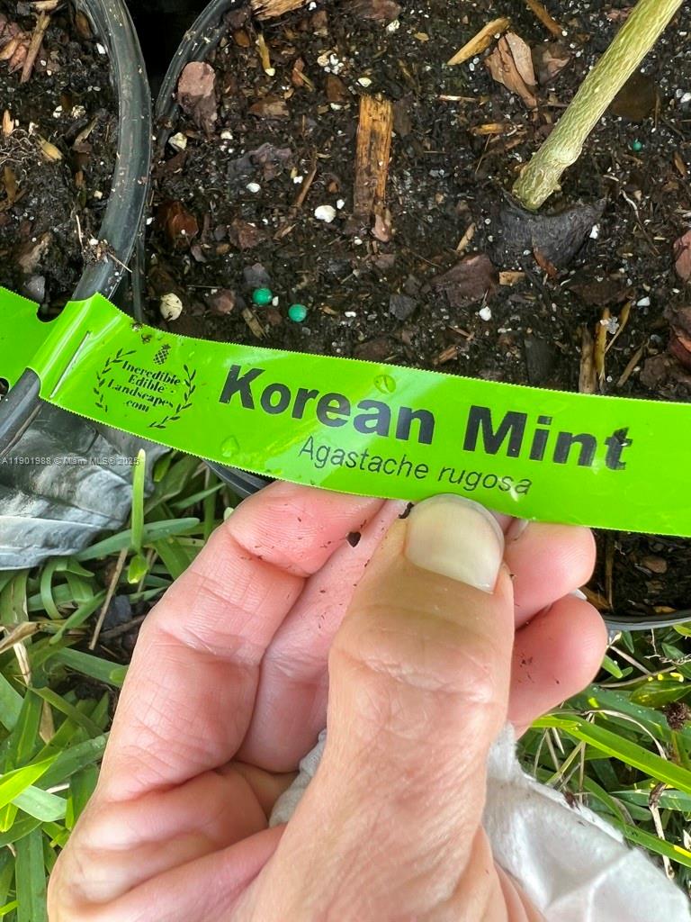 Ver detalles   /   sq. ft. $ 2025-10-24 0 foto