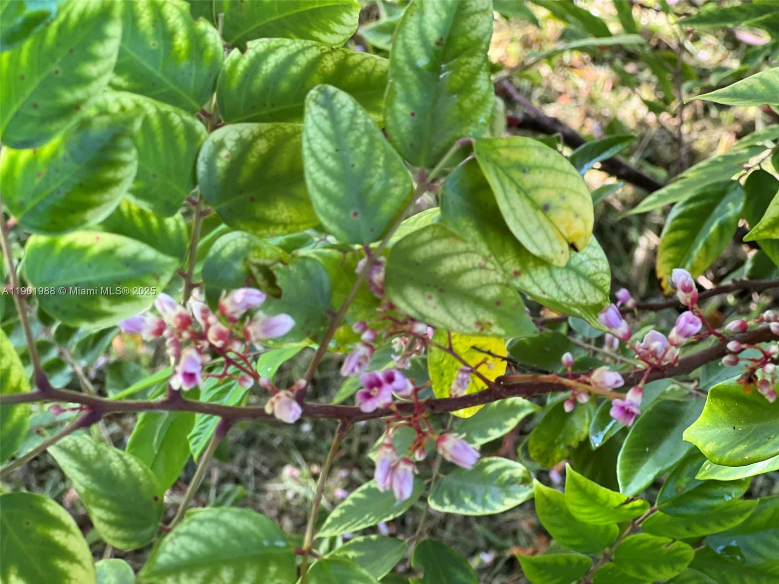 Ver detalles   /   sq. ft. $ 2025-10-24 0 foto