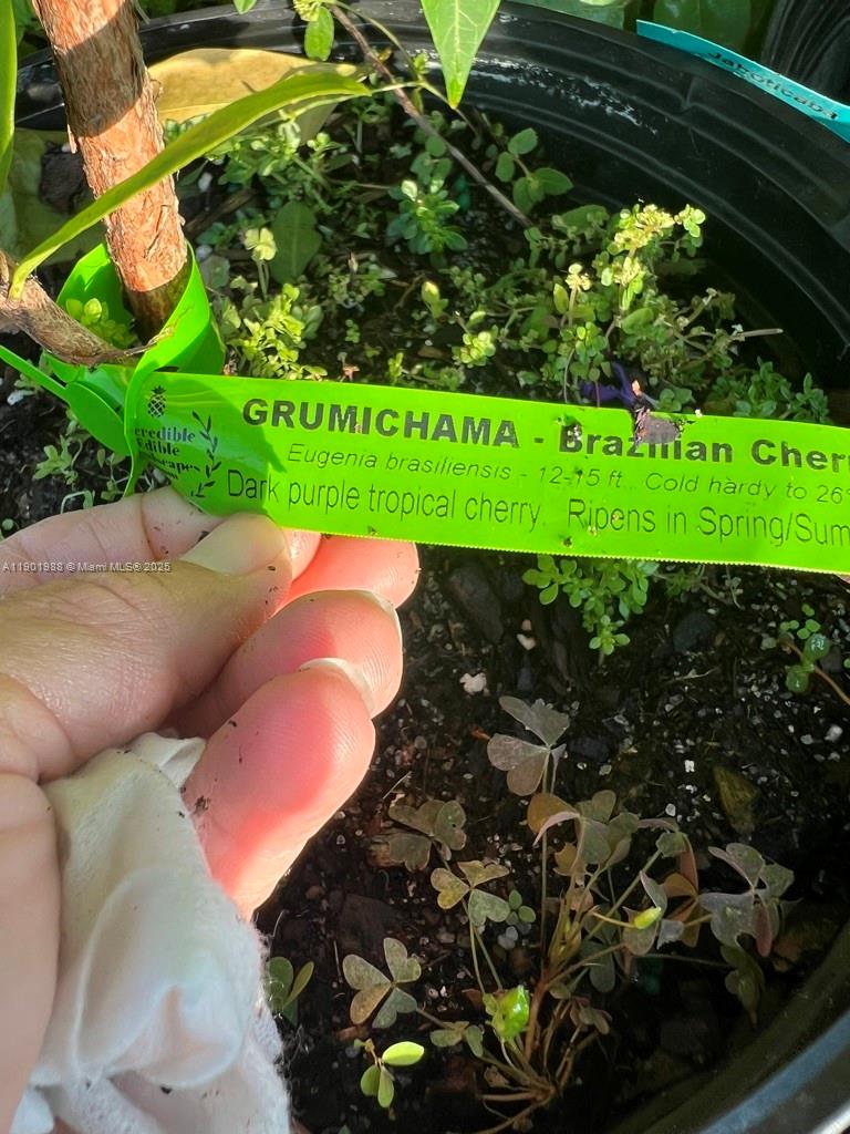 Ver detalles   /   sq. ft. $ 2025-10-24 0 foto