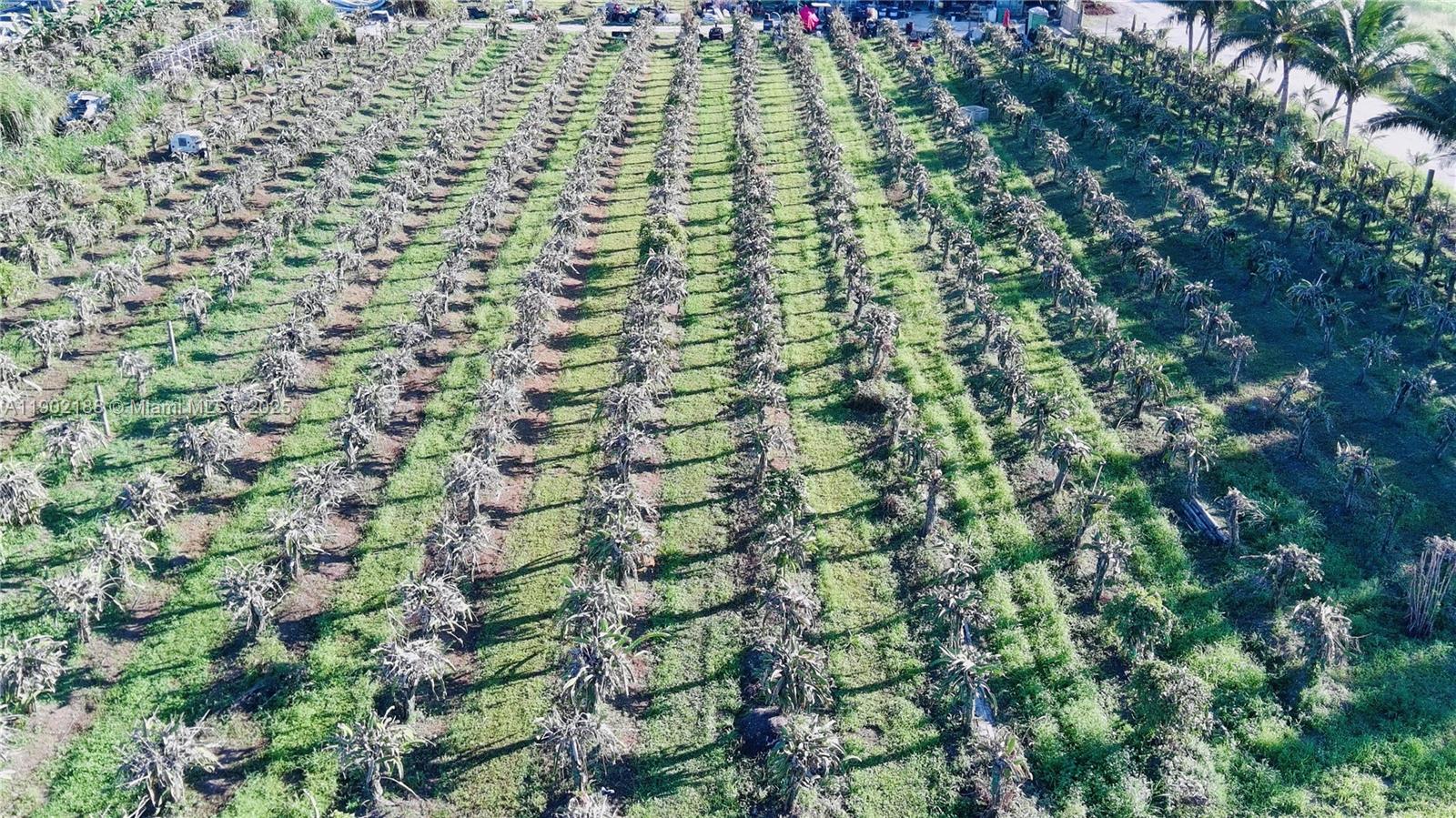 Подробнее   /   кв.футов $ 2025-10-24 0 Фото