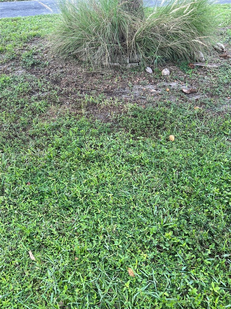 281 3 / 2 1140 sq. ft. $ 2025-10-27 0 Photo