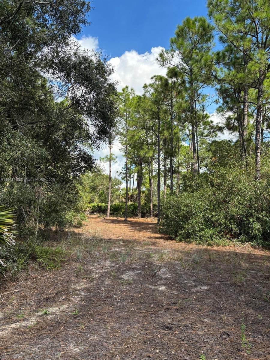 Подробнее   /   кв.футов $ 2025-10-27 0 Фото