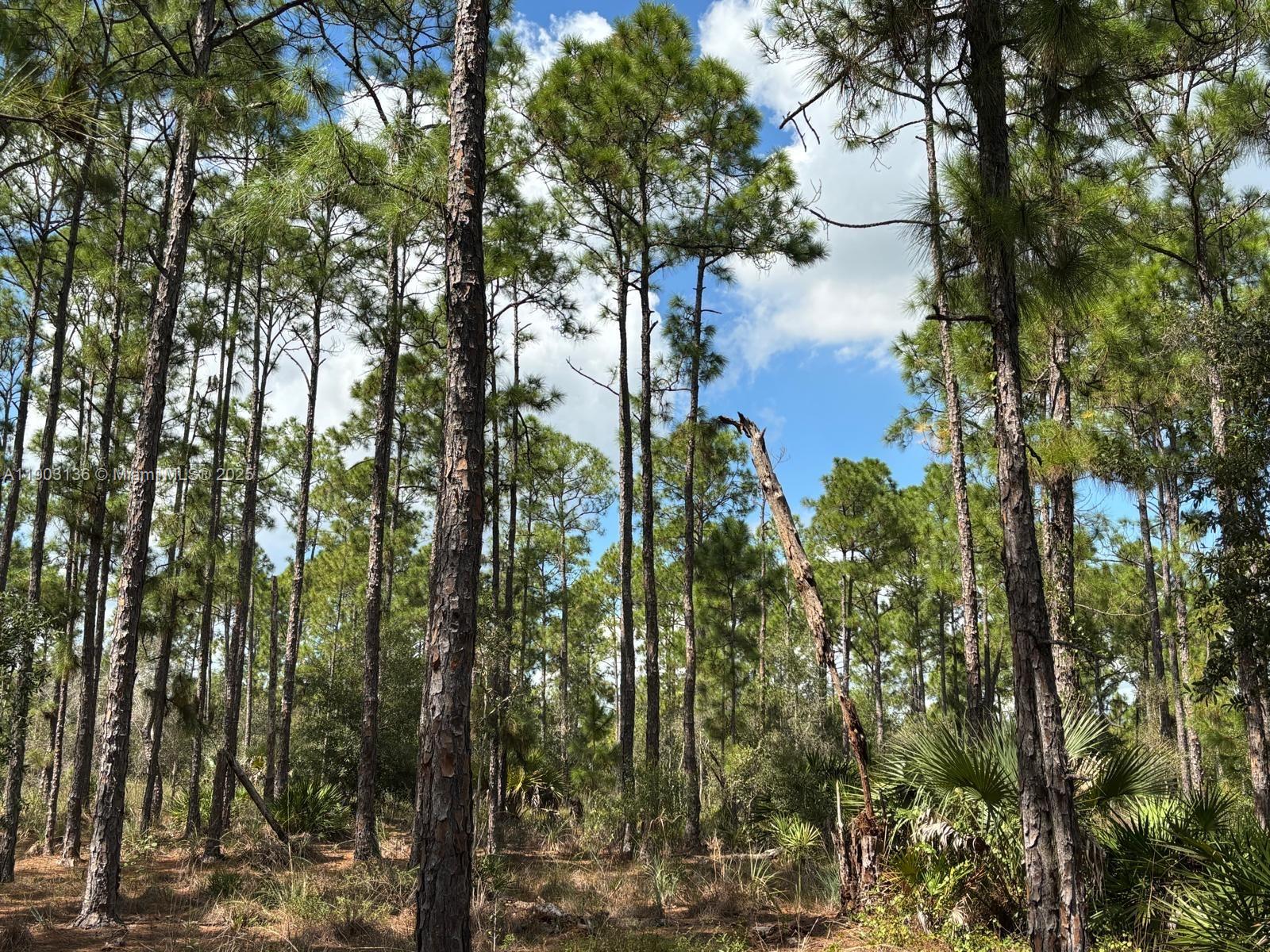 Подробнее   /   кв.футов $ 2025-10-27 0 Фото