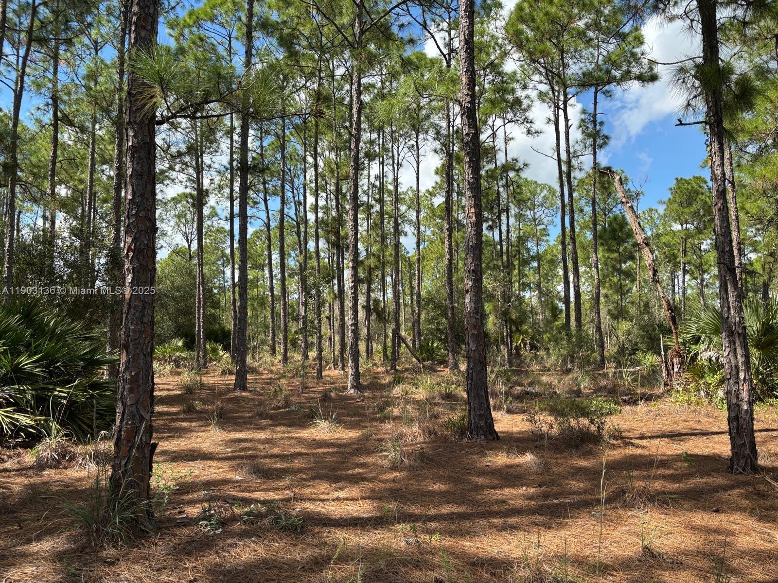 Подробнее   /   кв.футов $ 2025-10-27 0 Фото