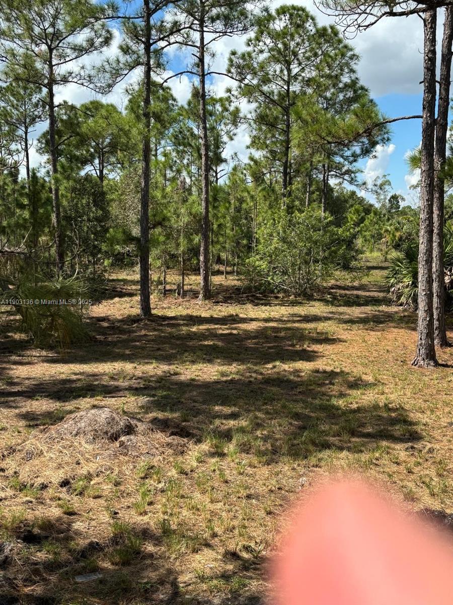 Подробнее   /   кв.футов $ 2025-10-27 0 Фото