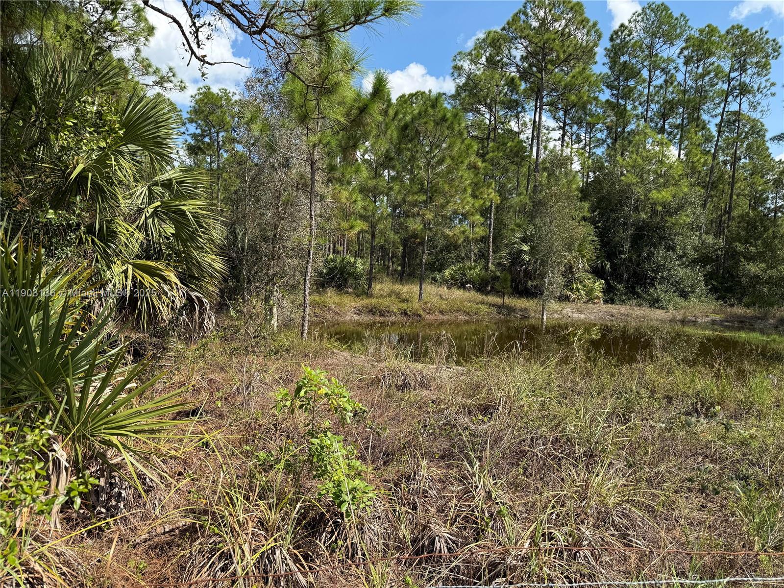 Подробнее   /   кв.футов $ 2025-10-27 0 Фото