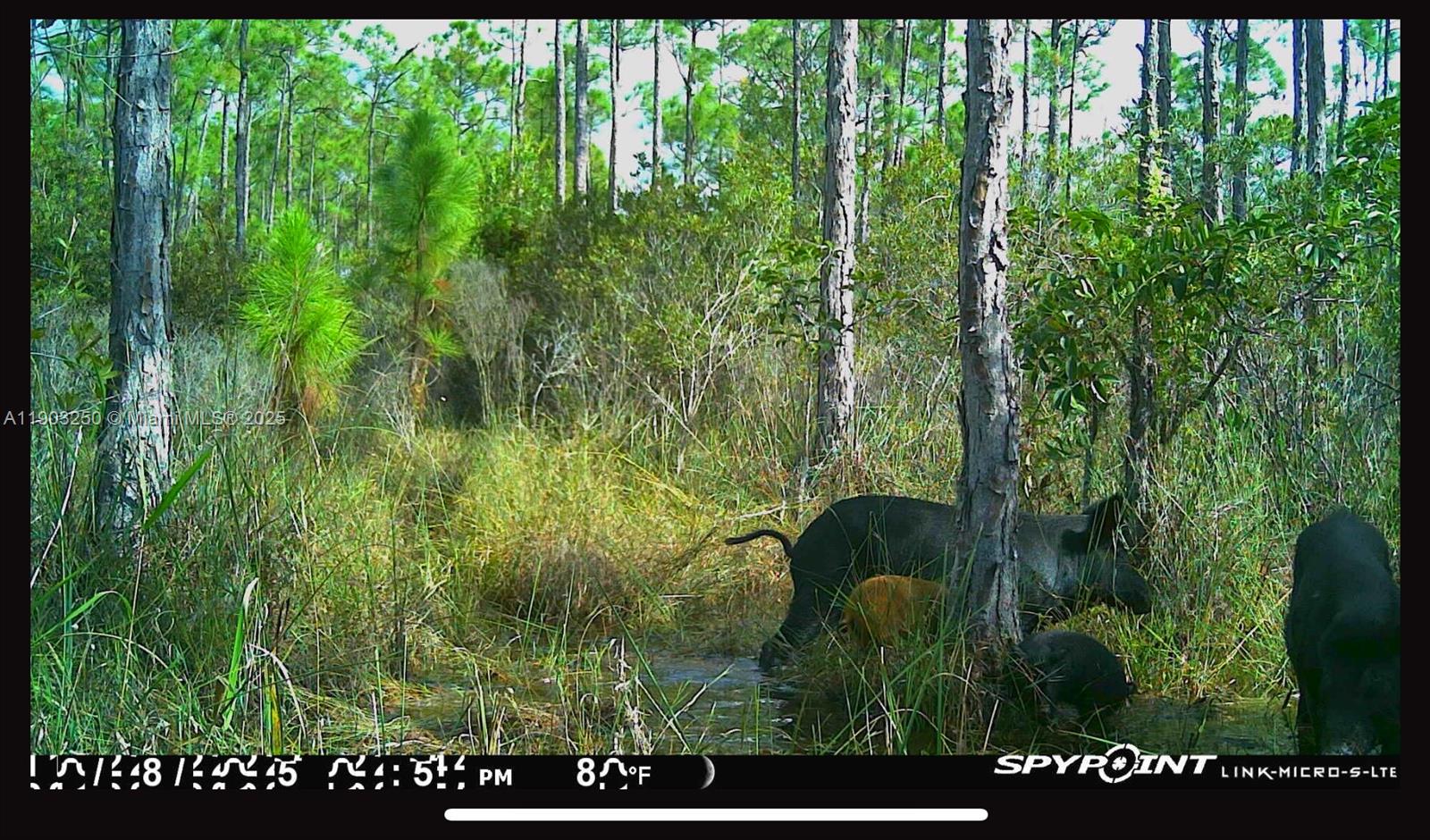   /   кв.футов $ 2025-10-27 0 Фото