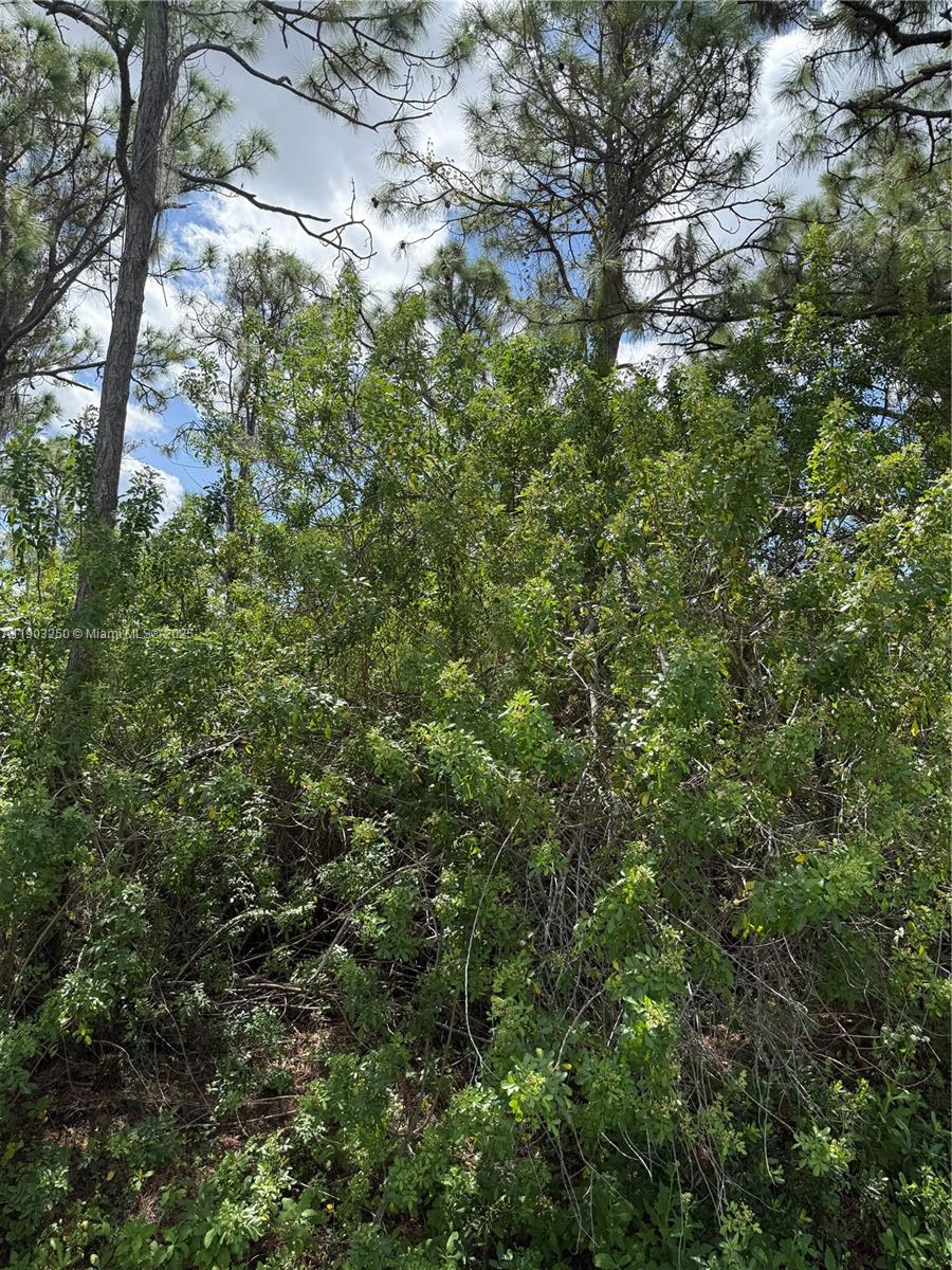 See details   /   sq. ft. $ 2025-10-27 0 Photo