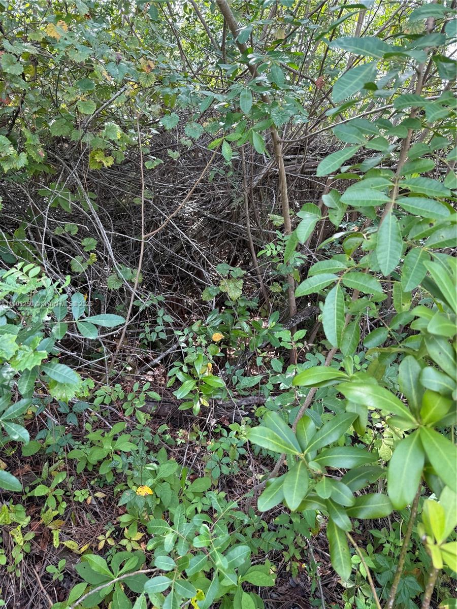 See details   /   sq. ft. $ 2025-10-27 0 Photo