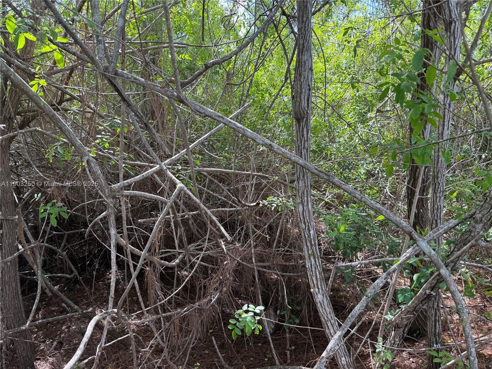 See details   /   sq. ft. $ 2025-10-27 0 Photo