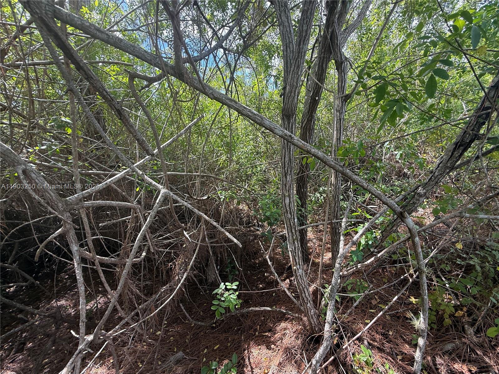 See details   /   sq. ft. $ 2025-10-27 0 Photo