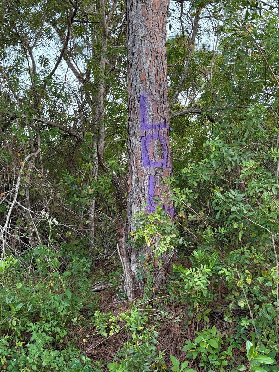 See details   /   sq. ft. $ 2025-10-27 0 Photo