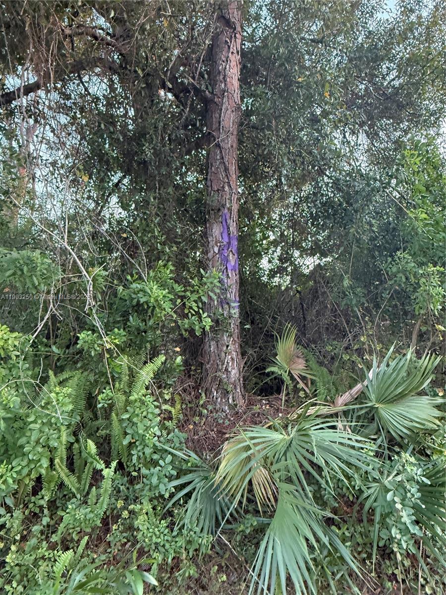 See details   /   sq. ft. $ 2025-10-27 0 Photo