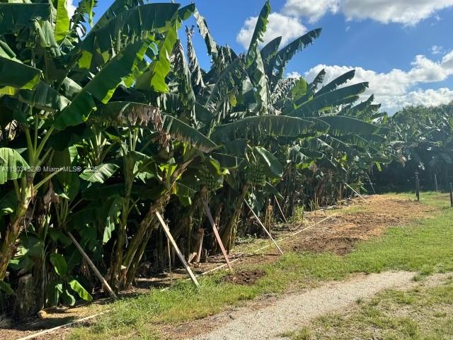 Ver detalles   /   sq. ft. $ 2025-10-27 0 foto