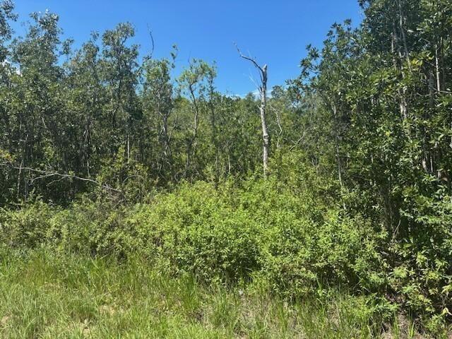 See details / 0 sq. ft. $ 2026-06-19 0 Photo