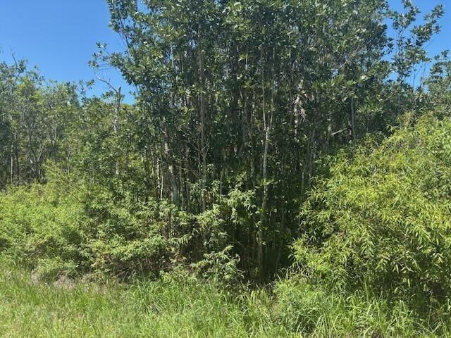 See details / 0 sq. ft. $ 2026-06-19 0 Photo