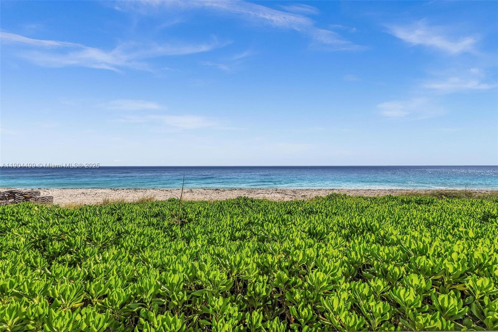 Photo of 1920 Ocean Dr  #8D, Hallandale Beach, Florida, 33009 - 