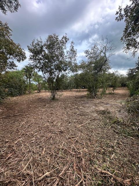   / 0  sq. ft. $ 2026-06-15 0 foto