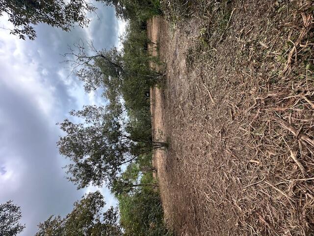  / 0  sq. ft. $ 2026-06-15 0 foto