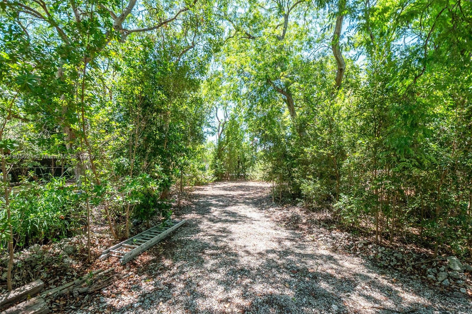 See details / sq. ft. $ 2025-10-30 0 Photo