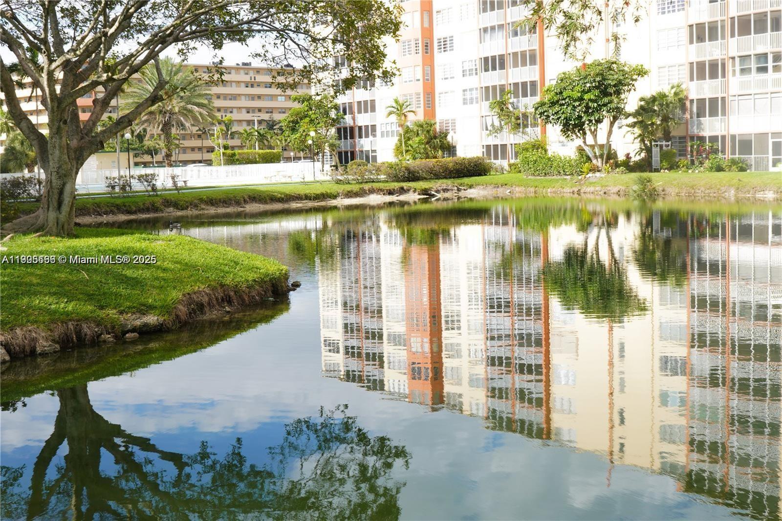 204-2 1 / 2 1036 sq. ft. $ 2025-10-30 0 Photo