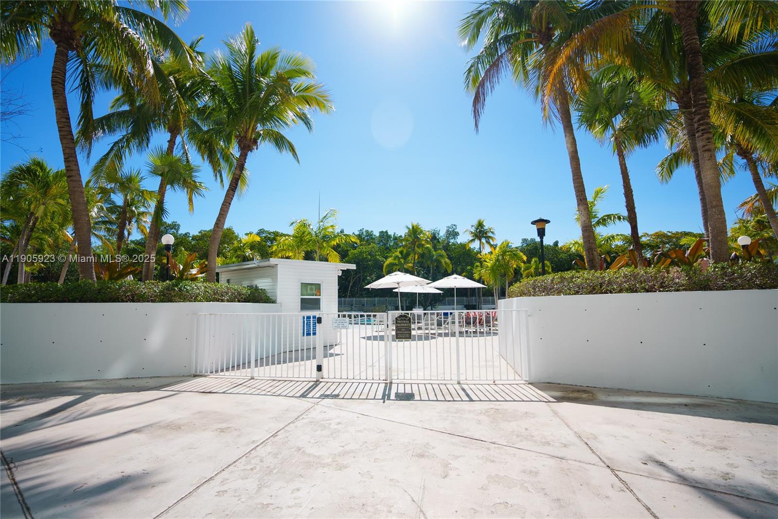 222 2 / 2 1357 sq. ft. $ 2025-10-31 0 Photo