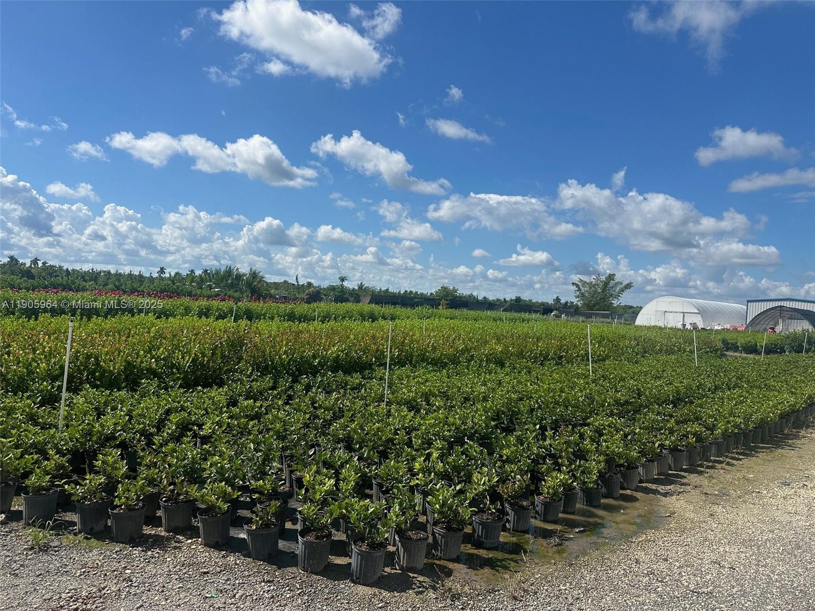 See details / sq. ft. $ 2025-10-31 0 Photo