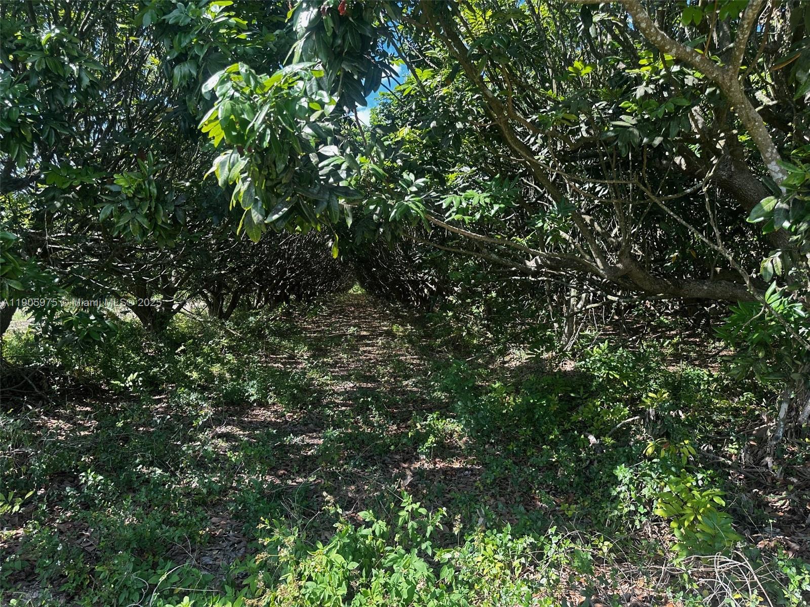 See details / sq. ft. $ 2025-10-31 0 Photo