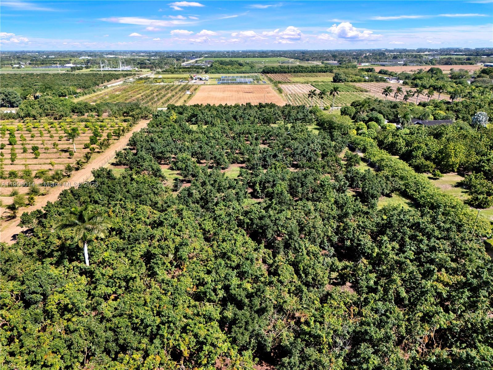 See details / sq. ft. $ 2025-10-31 0 Photo