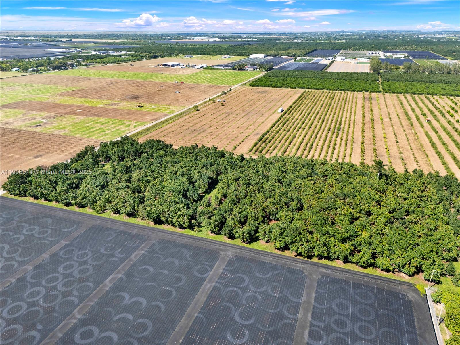 See details / sq. ft. $ 2025-10-31 0 Photo