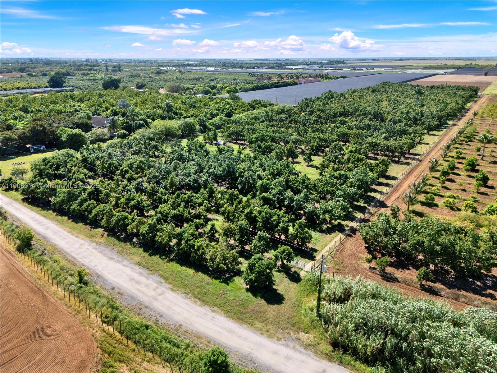 See details / sq. ft. $ 2025-10-31 0 Photo