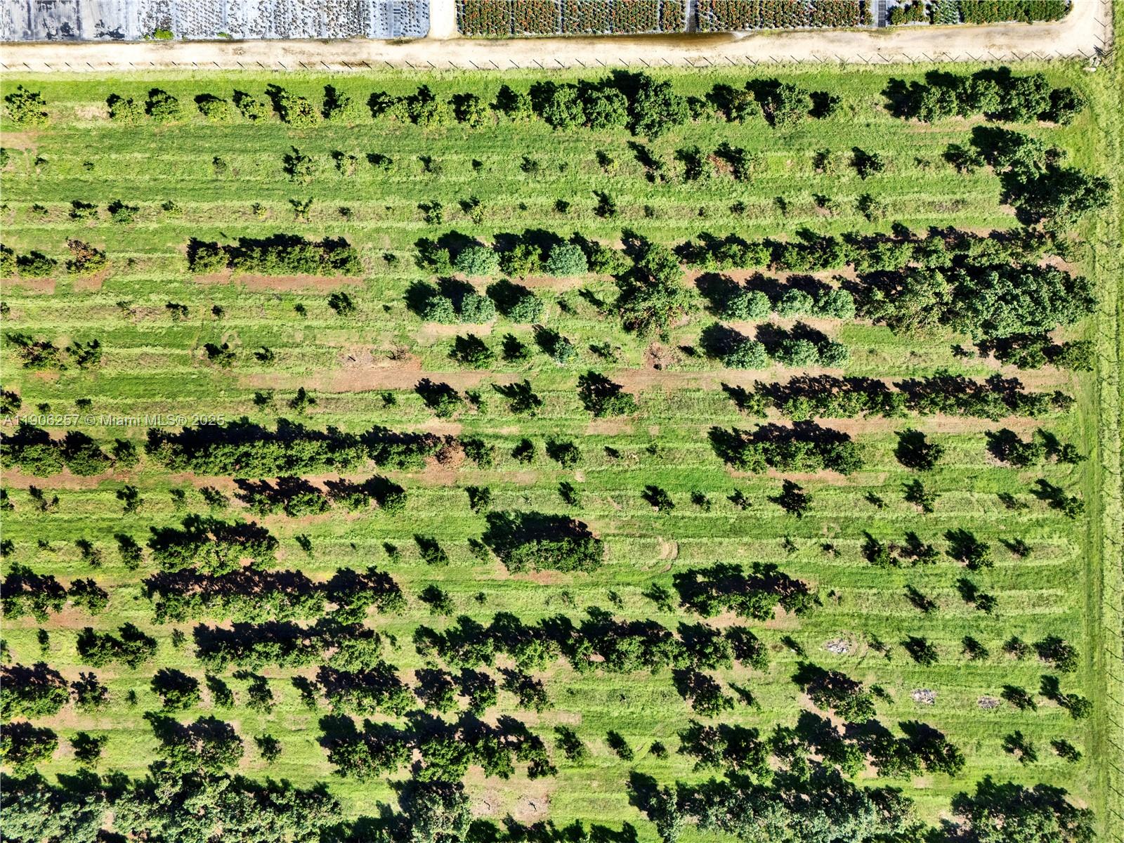 Подробнее / кв.футов $ 2025-10-31 0 Фото