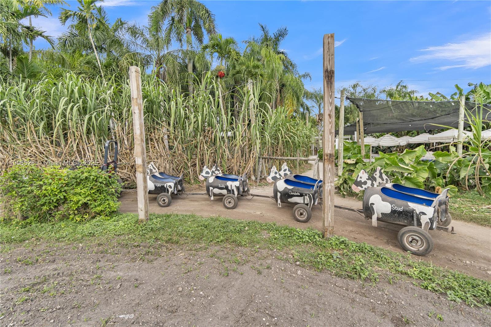 Подробнее / кв.футов $ 2025-11-01 0 Фото