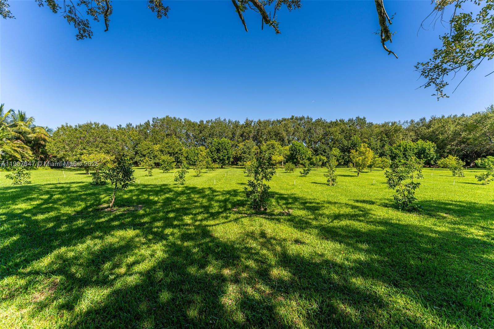 See details / sq. ft. $ 2025-11-04 0 Photo