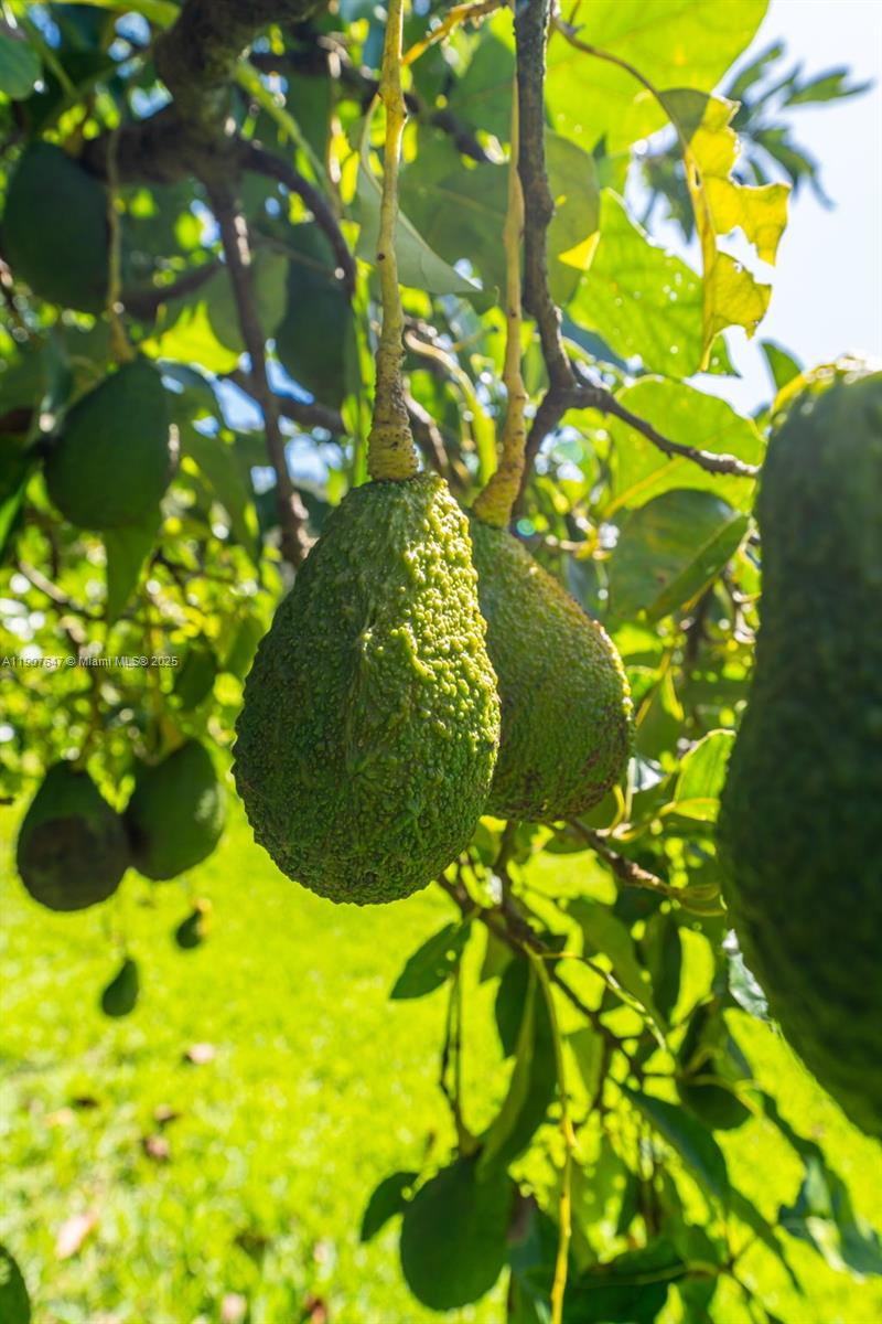 See details / sq. ft. $ 2025-11-04 0 Photo