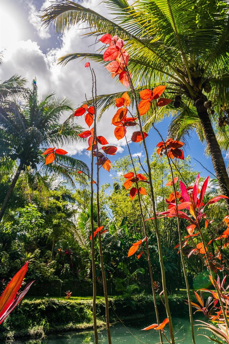 See details / sq. ft. $ 2025-11-04 0 Photo