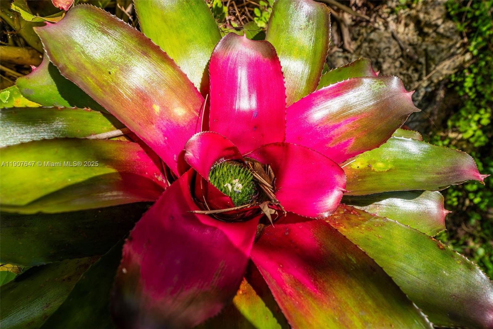 See details / sq. ft. $ 2025-11-04 0 Photo