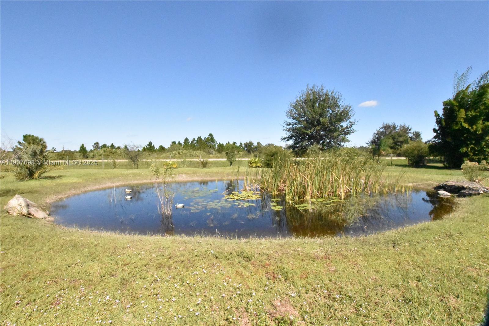 Подробнее / кв.футов $ 2025-11-04 0 Фото