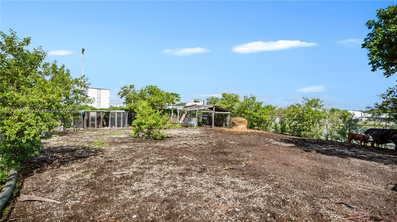 See details / sq. ft. $ 2025-11-05 0 Photo