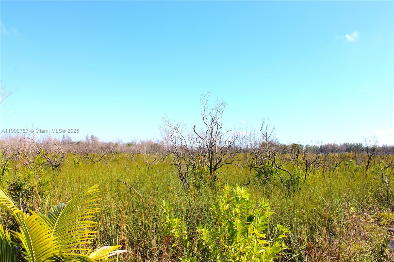 Подробнее / кв.футов $ 2025-11-05 0 Фото