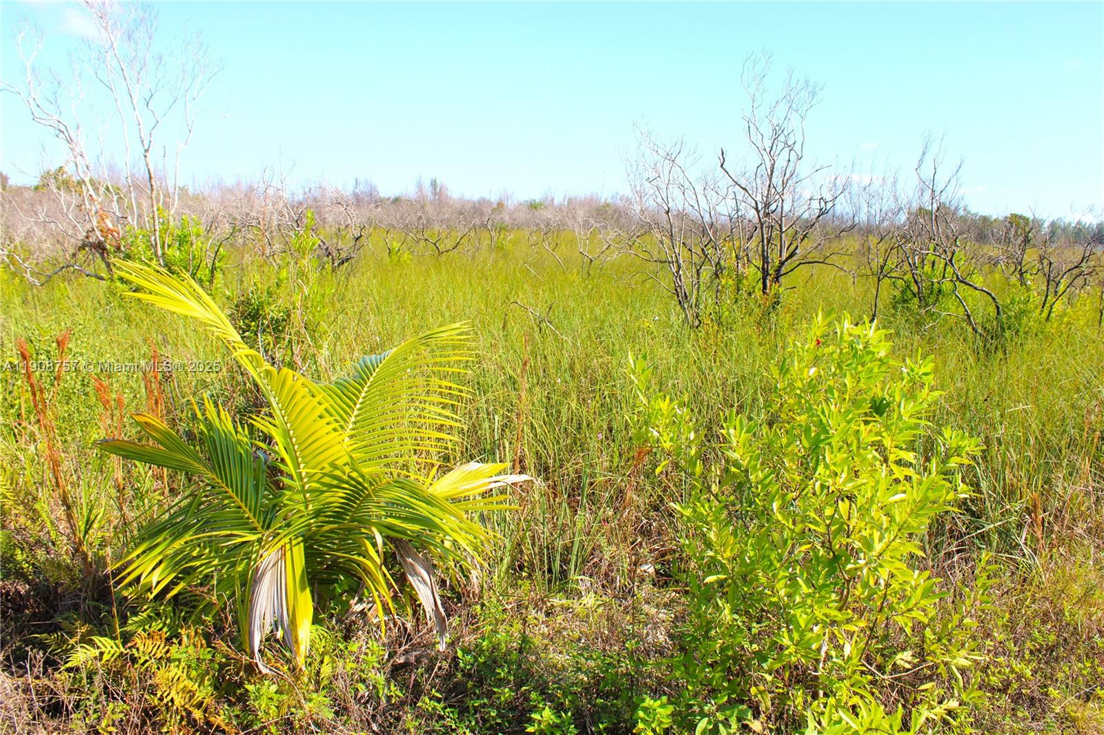 Подробнее / кв.футов $ 2025-11-05 0 Фото