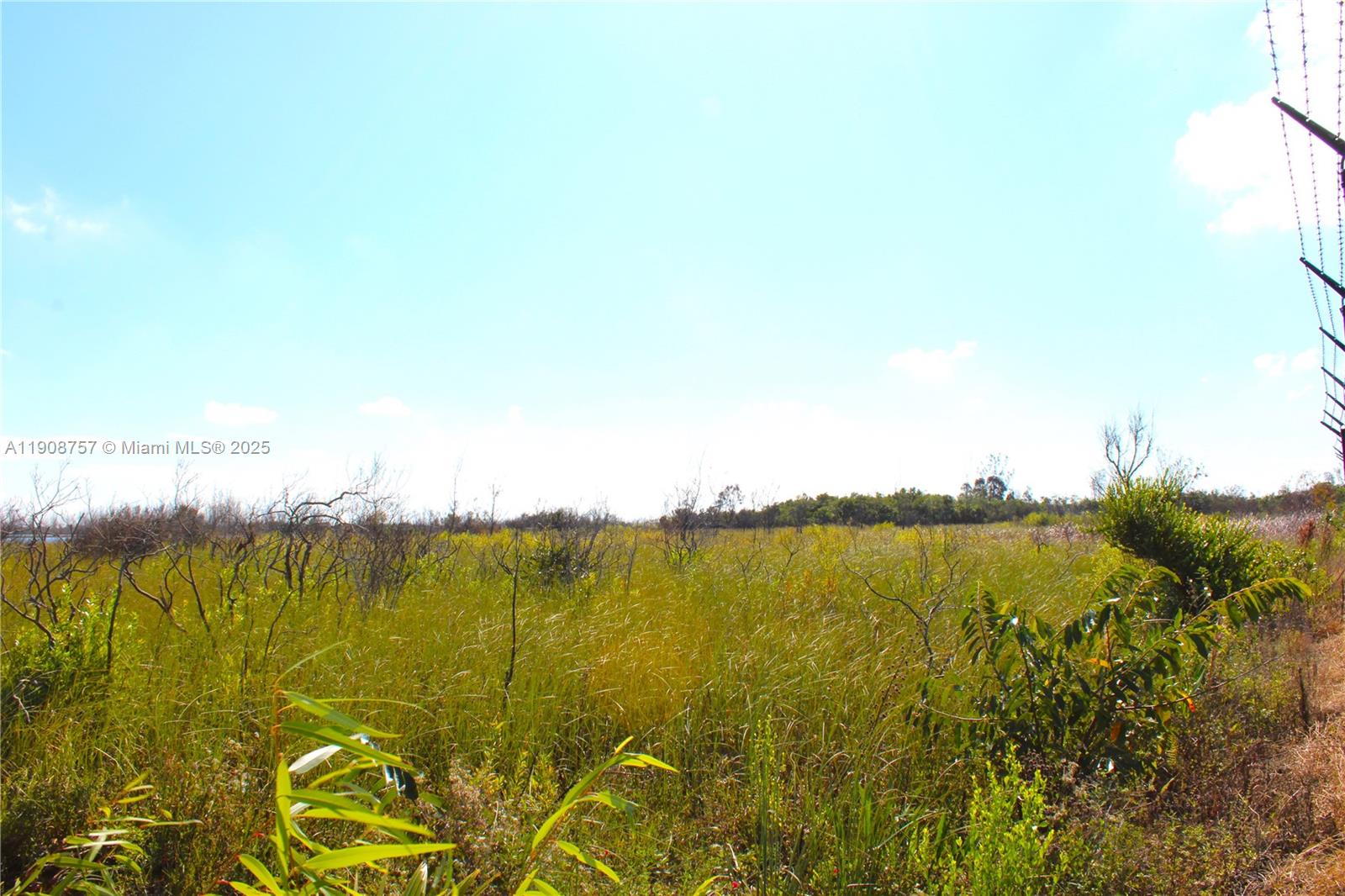 Подробнее / кв.футов $ 2025-11-05 0 Фото