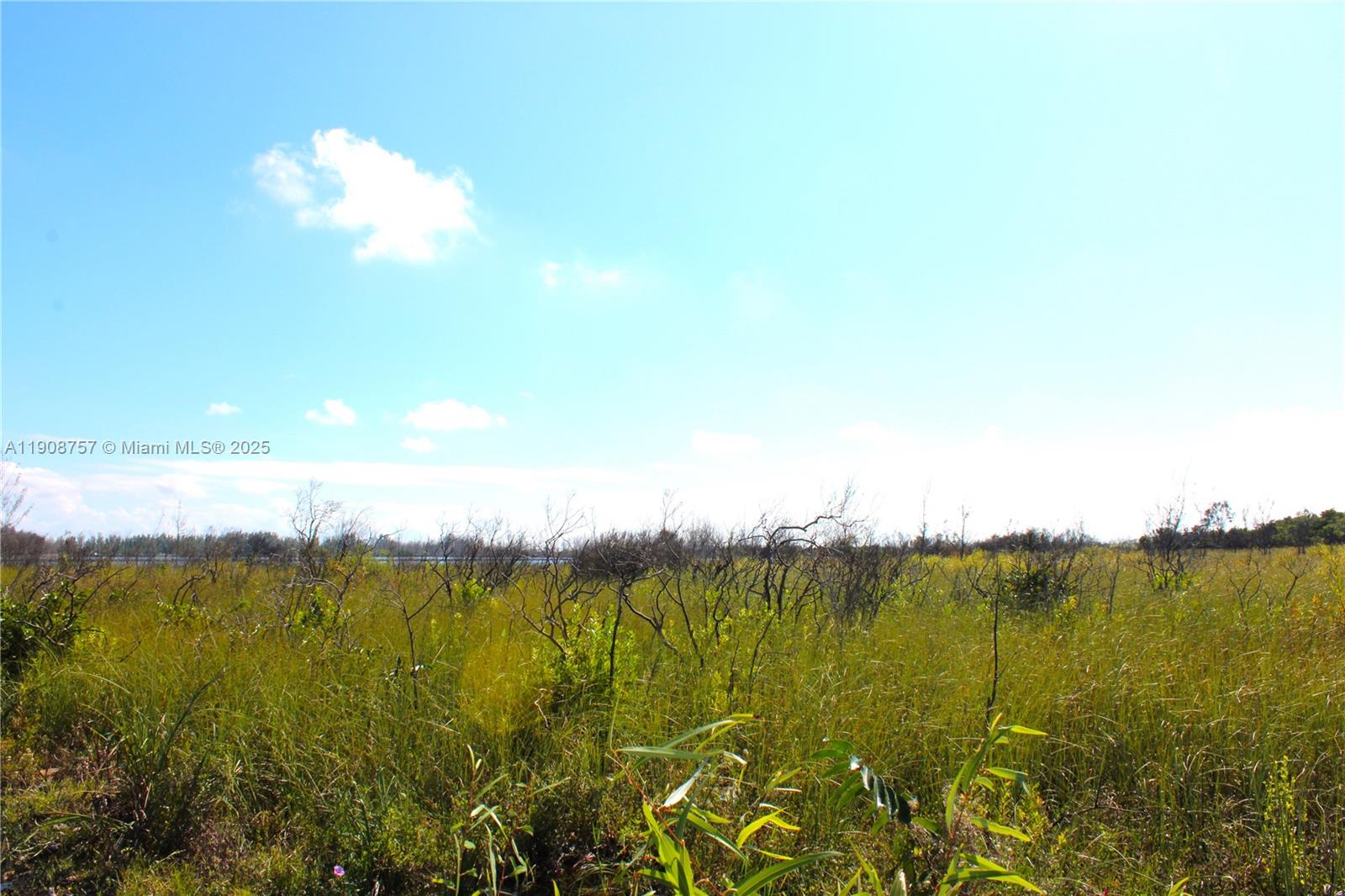 Подробнее / кв.футов $ 2025-11-05 0 Фото