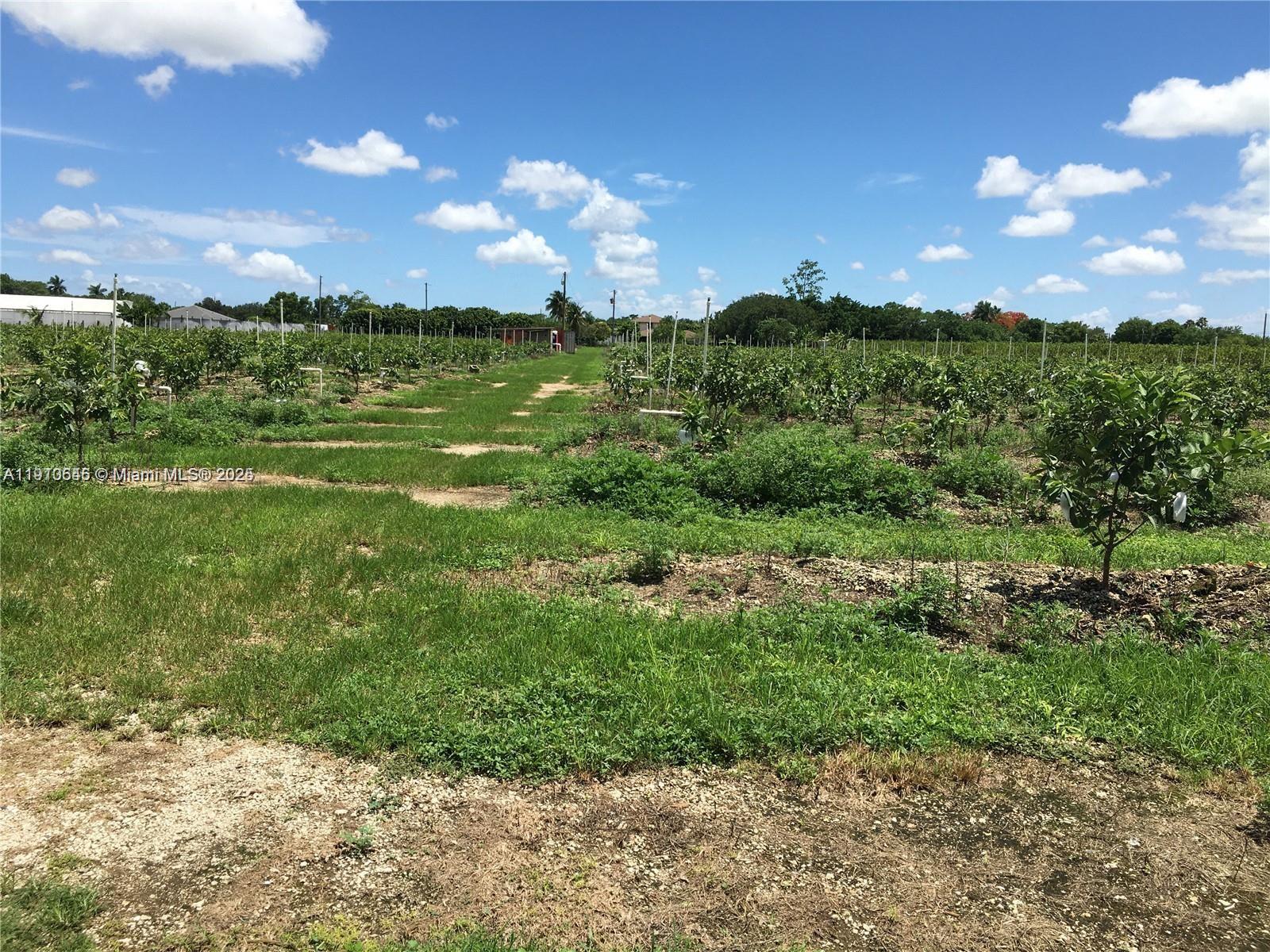 See details / sq. ft. $ 2025-11-08 0 Photo