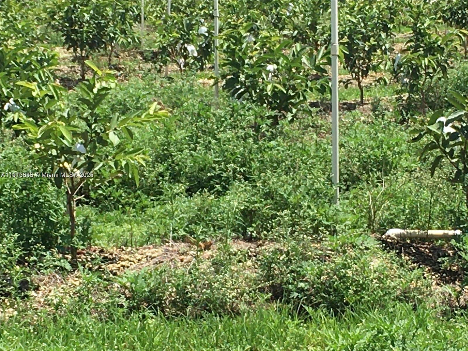 See details / sq. ft. $ 2025-11-08 0 Photo