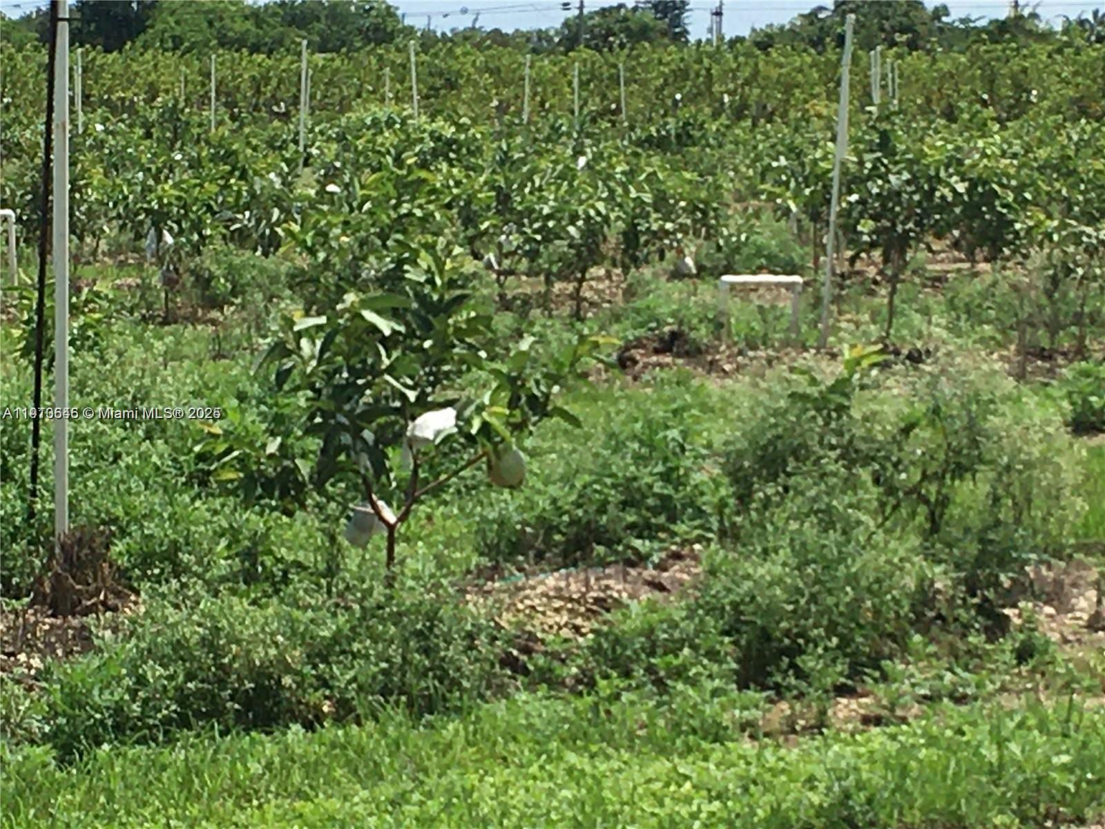 See details / sq. ft. $ 2025-11-08 0 Photo